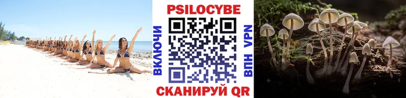 Псилоцибиновые грибы GOLDEN TEACHER  omg зеркало  Аткарск  сайты даркнета формула  наркошоп 